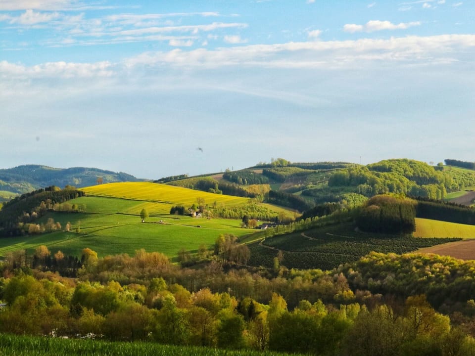 Region [summer] (>5 km)