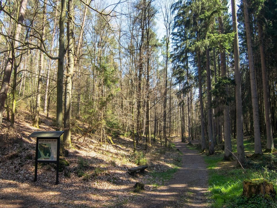 Surroundings [summer] (1-5 km)