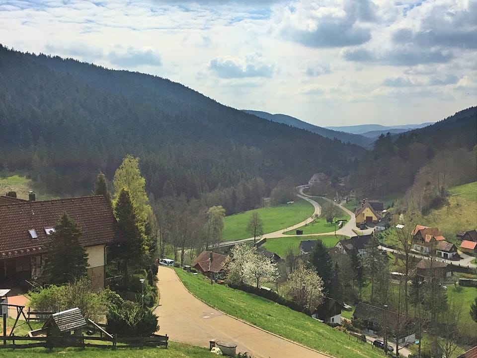 View from Holiday Home [summer]