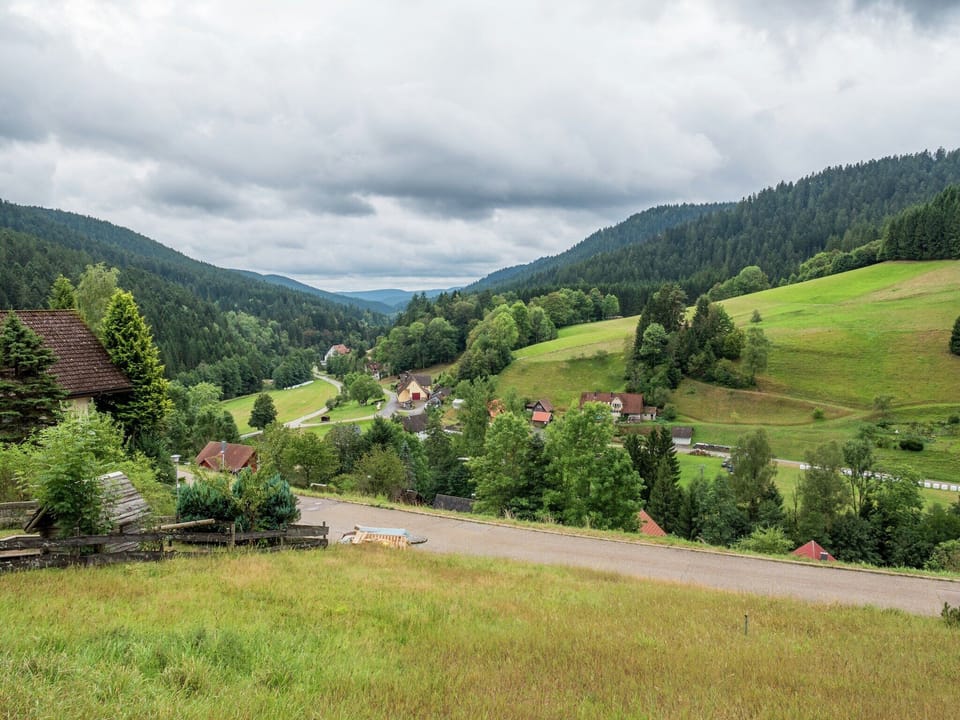 View from Holiday Home [summer]