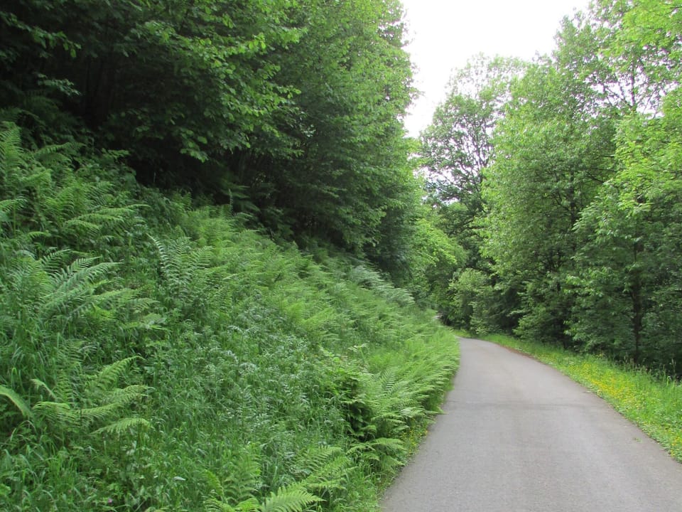 Immediate Surroundings [summer] (<1 km)