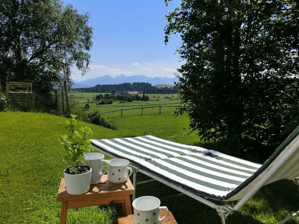 Garden [summer]