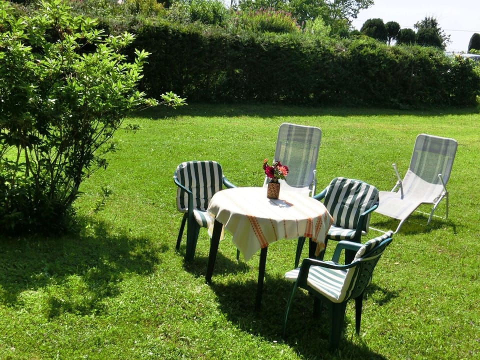 Garden [summer]