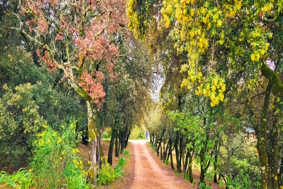 Immediate Surroundings [summer] (<1 km)