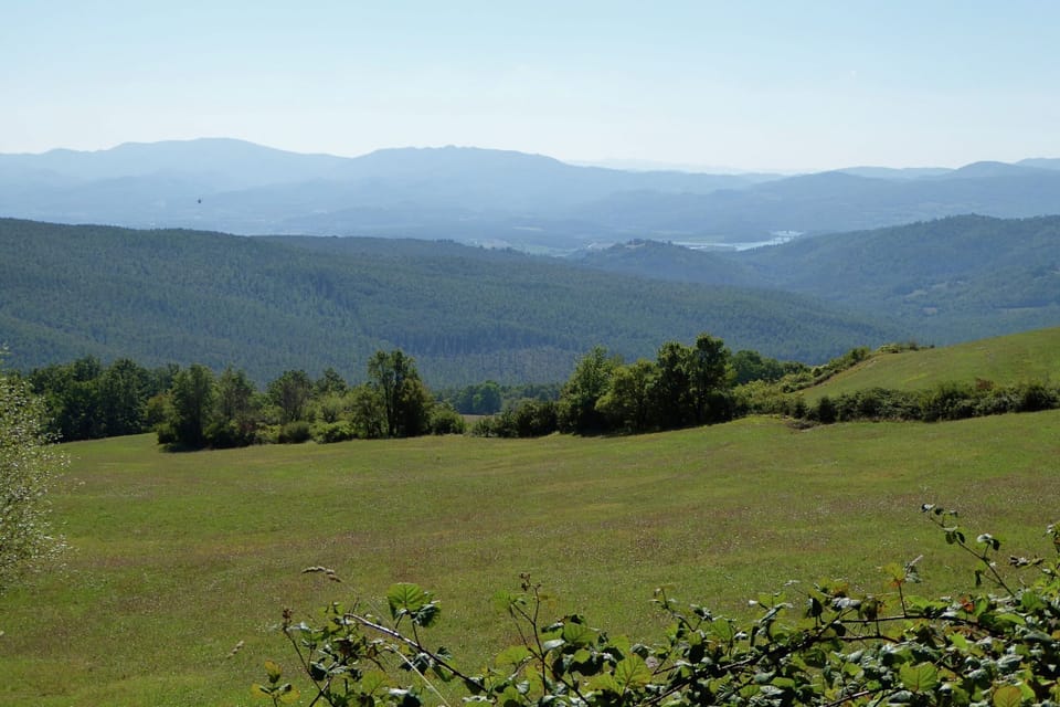 View from Holiday Home [summer]