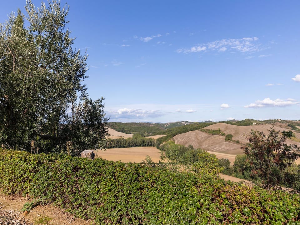 View from Holiday Home [summer]
