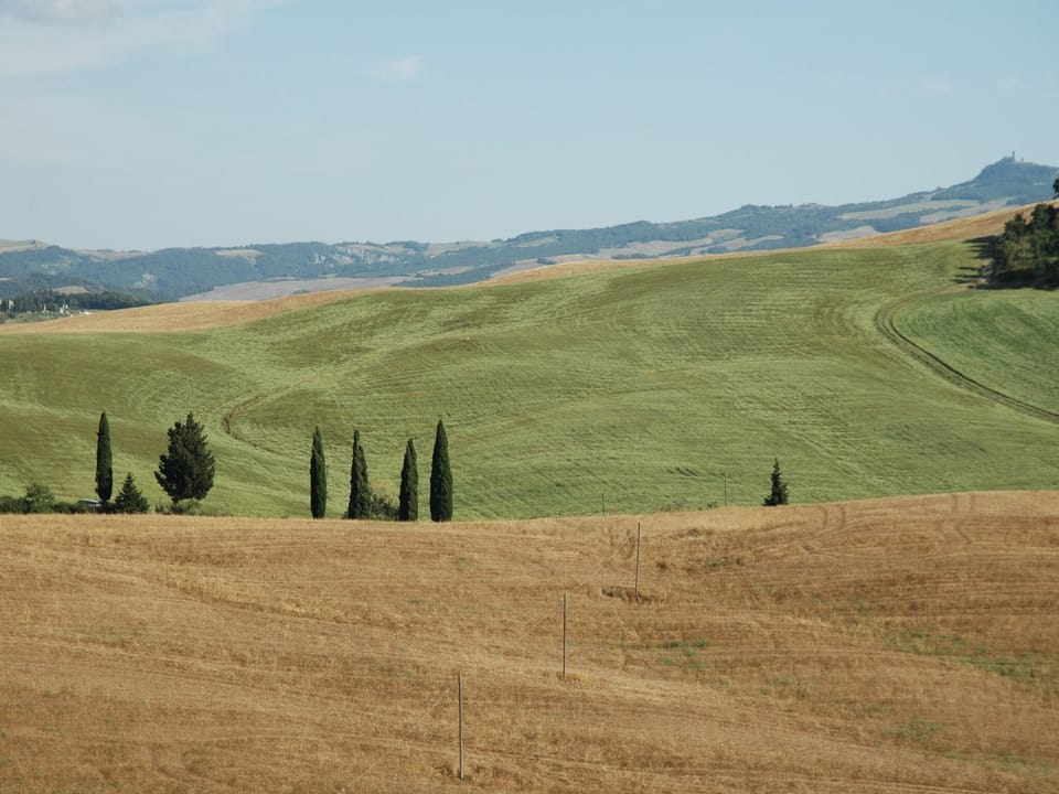 View from Holiday Home [summer]