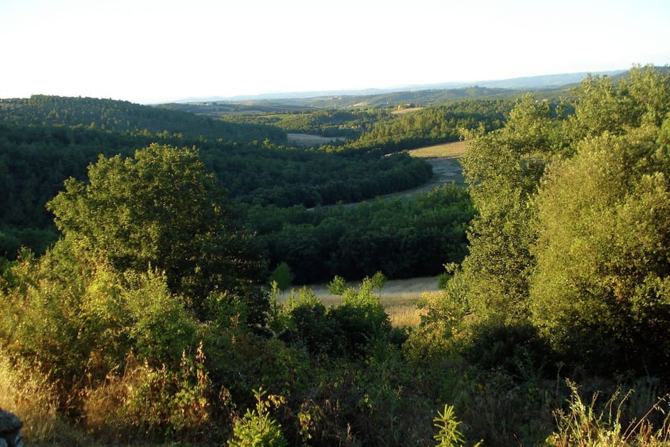 View from Holiday Home [summer]