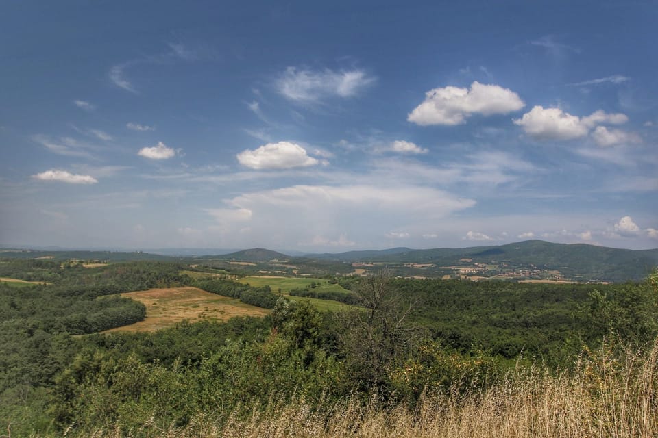 View from Holiday Home [summer]