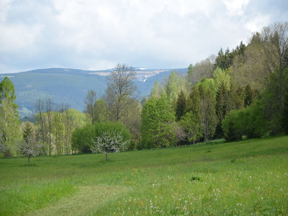 View from Holiday Home [summer]