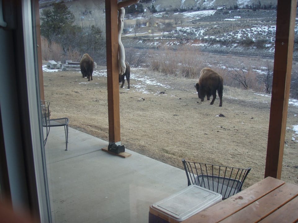 From the living room window