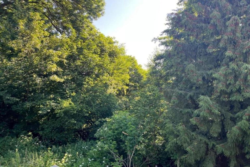 Surroundings [summer] (1-5 km)