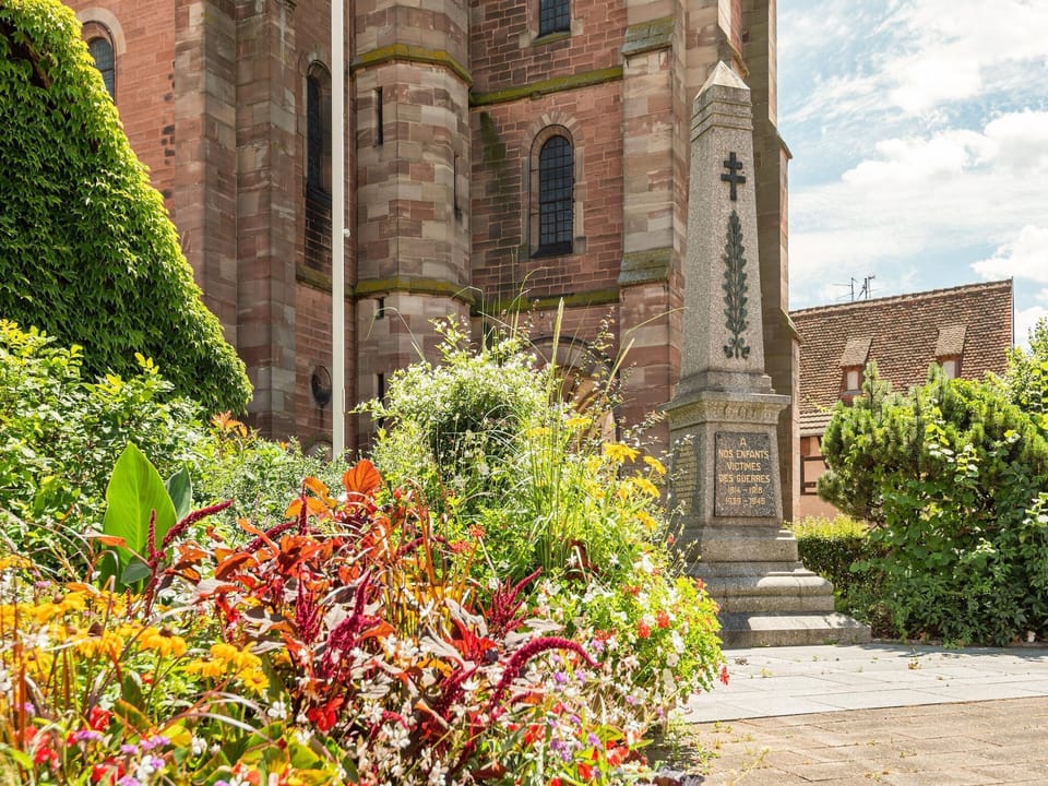 Garden [summer]