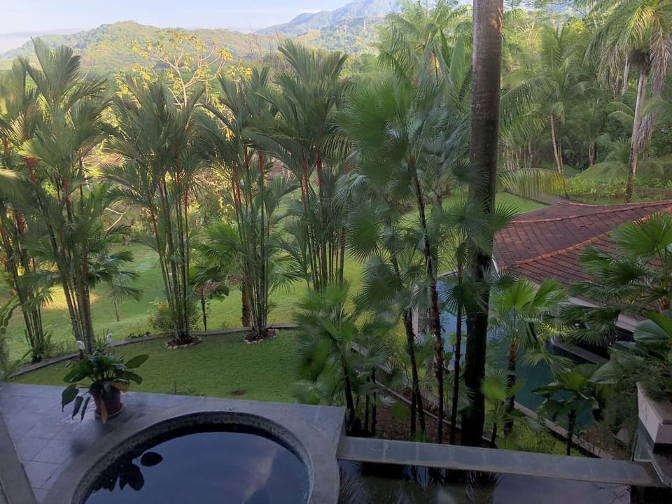 View from terrace towards pool