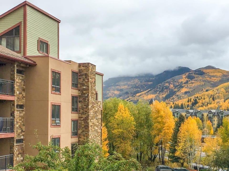 Fall Colors at our Home Cannot be Beat!