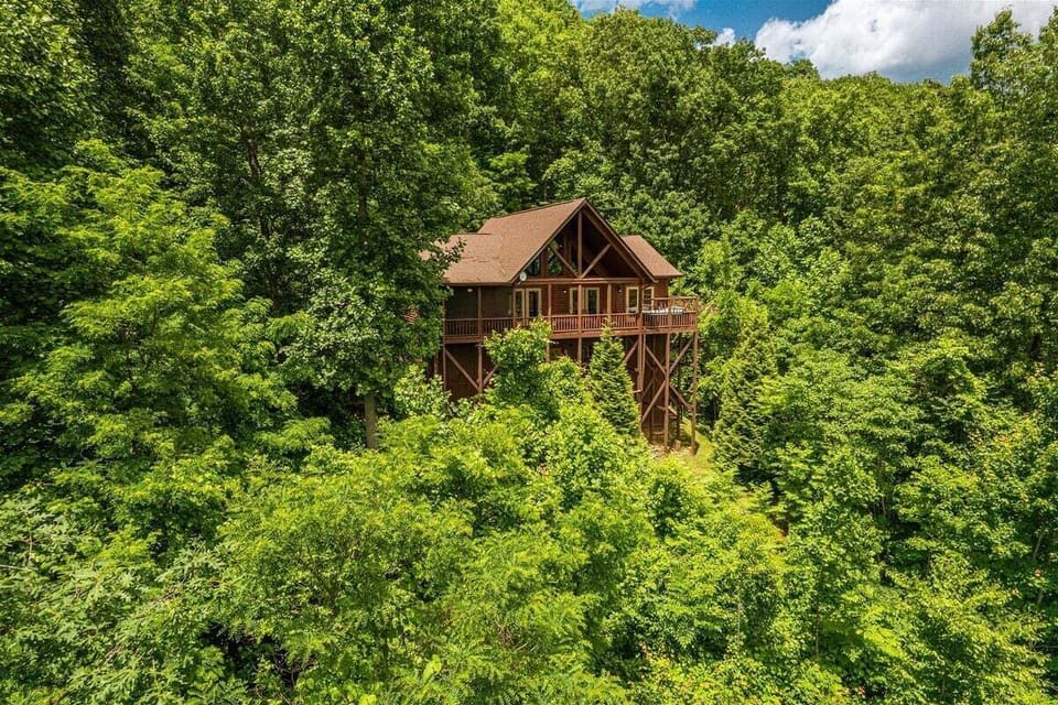 This upper-level angle captures the cabin's unique architecture and privacy tucked into the forest line.