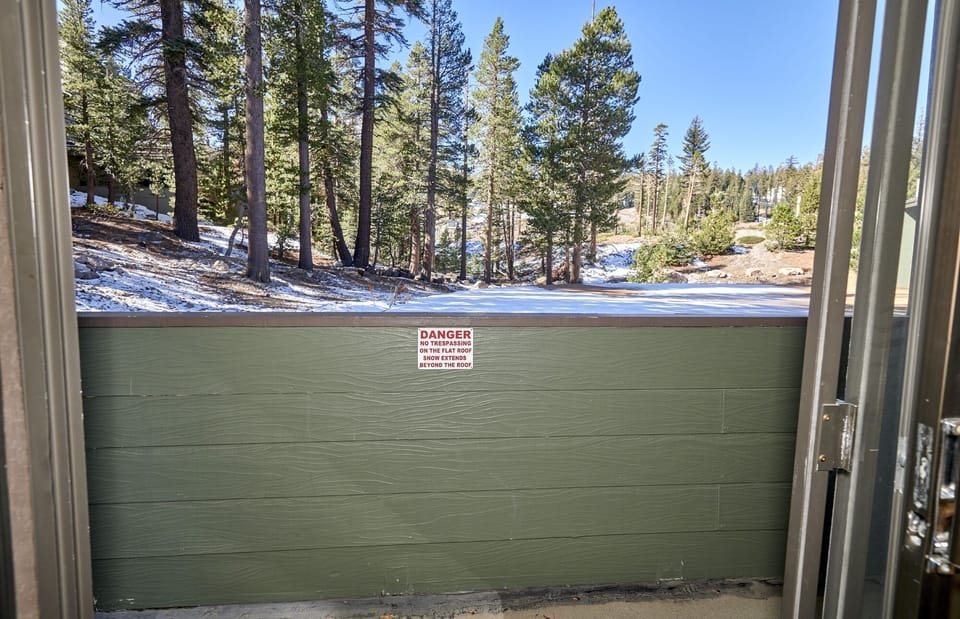 Tree, Fir, Outdoors, Nature, Shelter