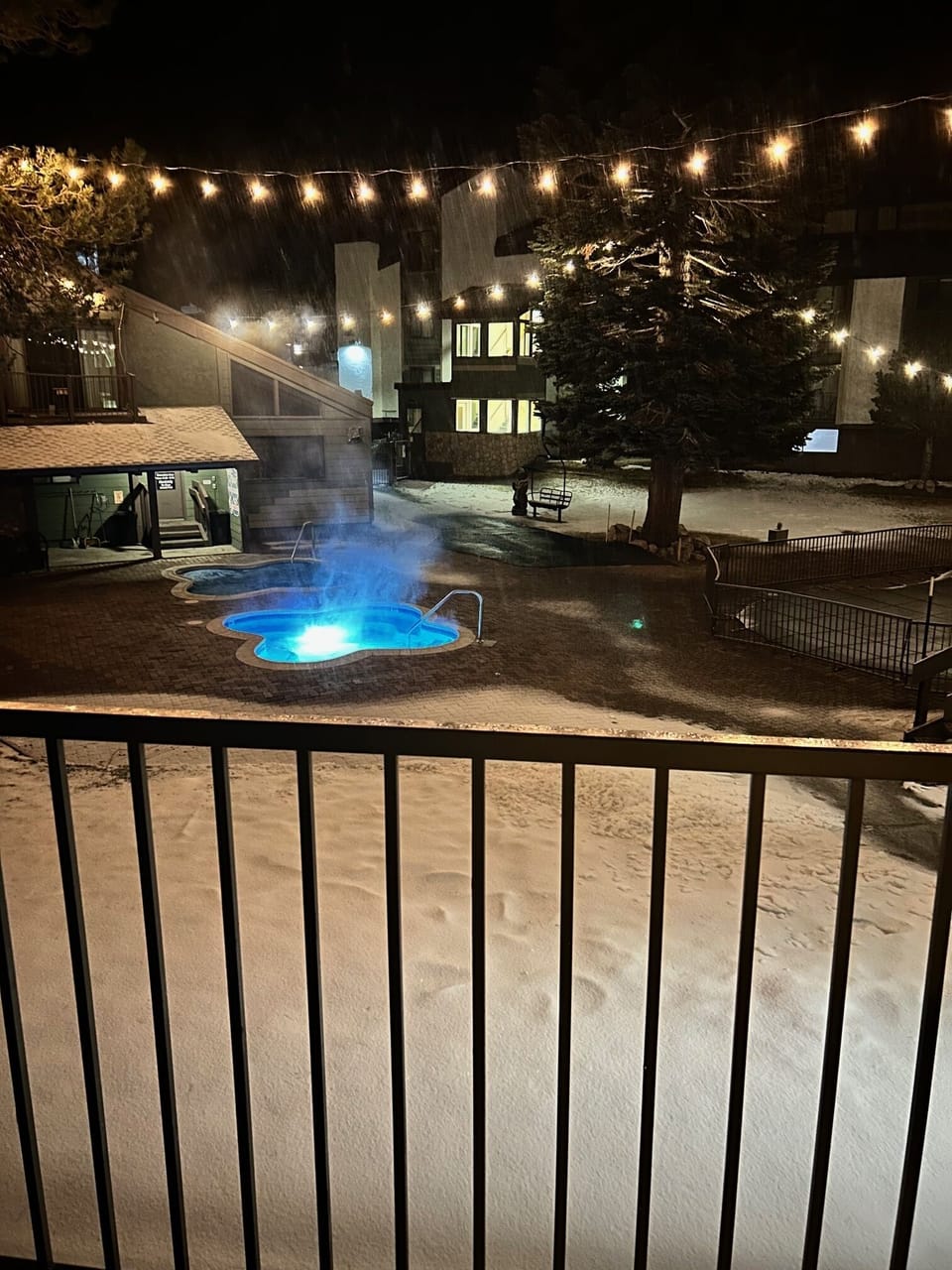 Railing, Handrail, Lighting, Tree, Water