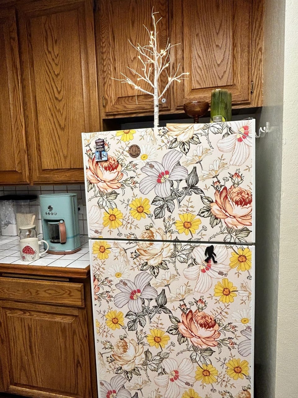 Furniture, Flower, Refrigerator, Hardwood, Stained Wood