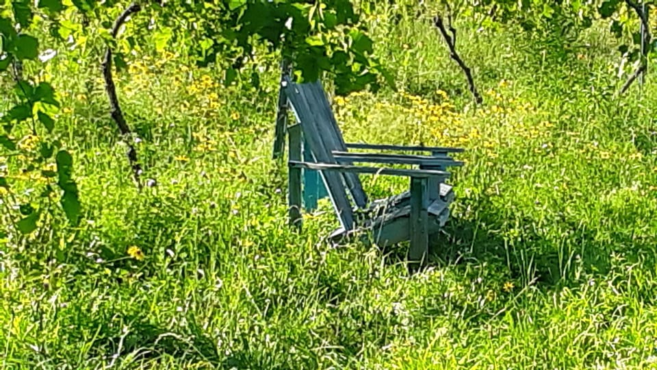 The break room when vine tending