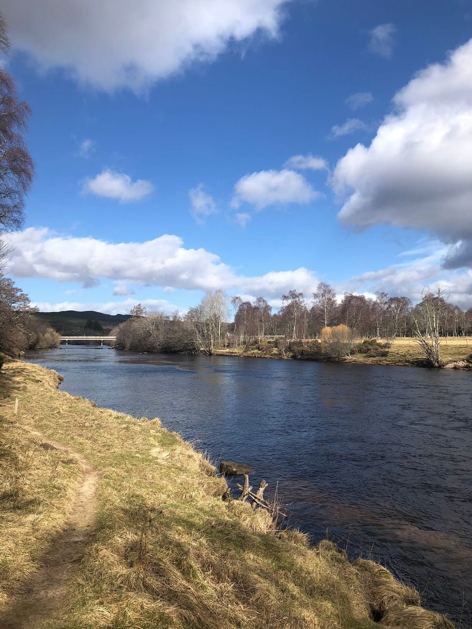 Salmon trail along the river Spey