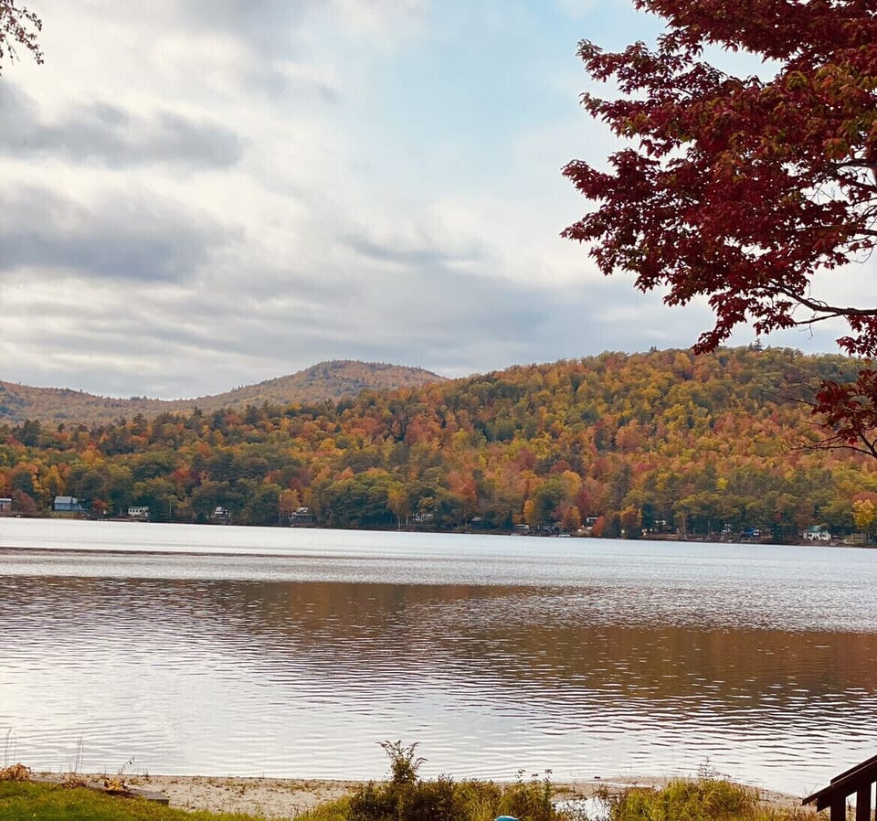 Fall Foliage 2021 