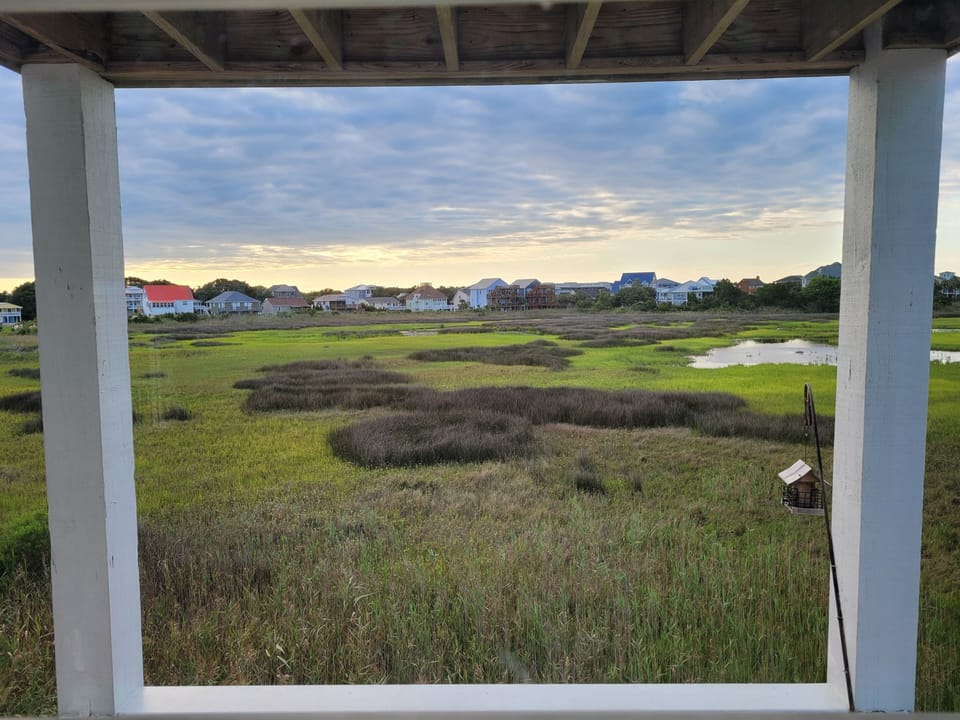 Bird estuary and stunning sunsets from rear deck.