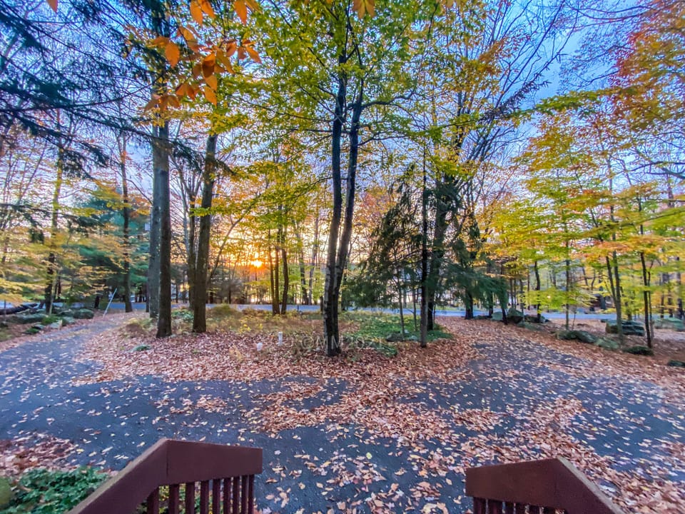 View of the lake from the porch