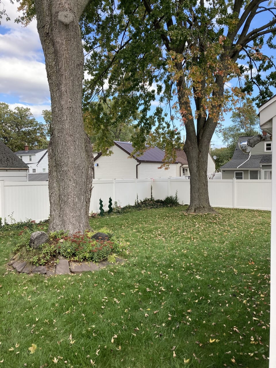 Back yard and two giant oak trees 