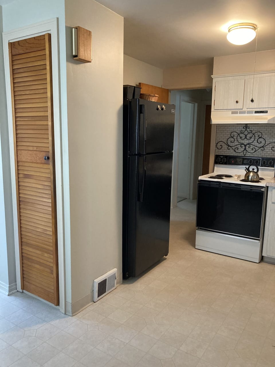 New fridge and eclectic stove 