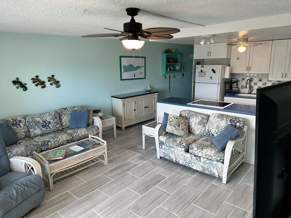 Living room and kitchen 
