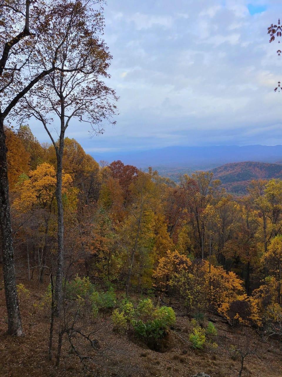 Fall colors on a cool morning