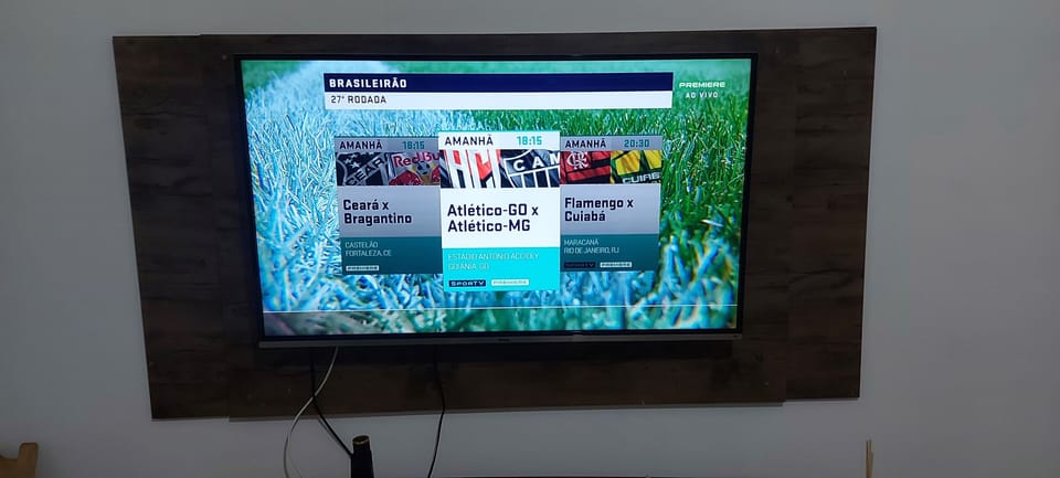 Television