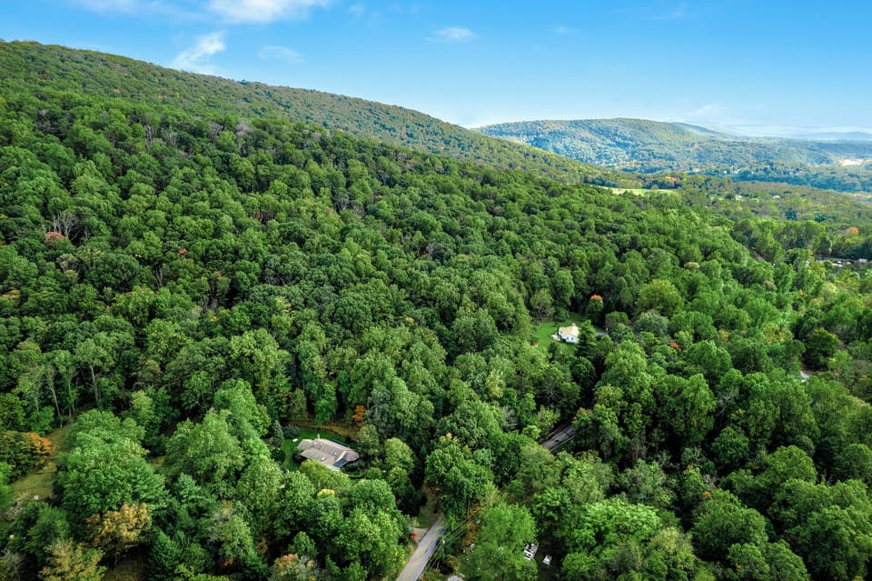 The house backs up to national park land. 