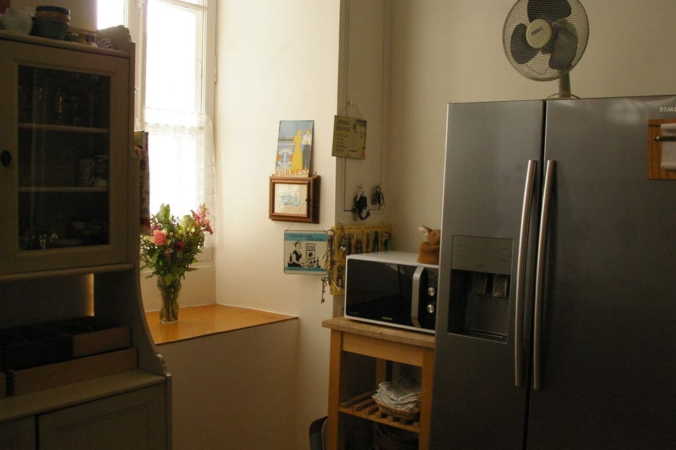American style fridge with ice maker and filtered chilled water