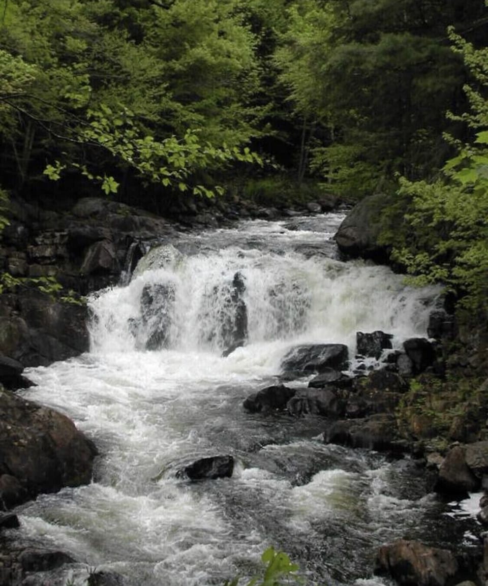 Brook’s Falls