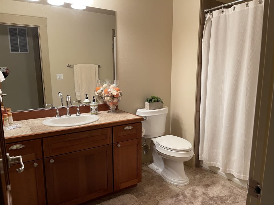 Guest bathroom 