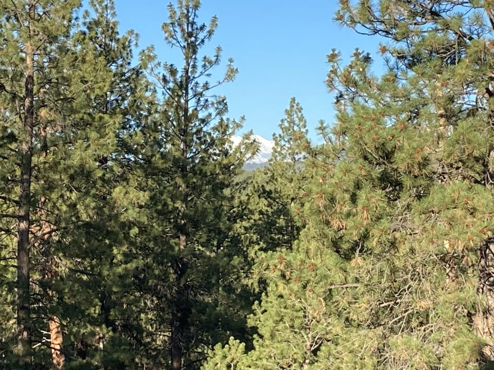 Mt. Bachelor from the patio