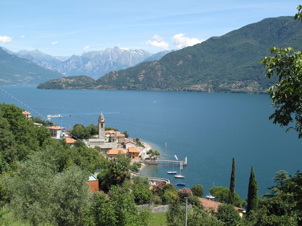 Plant, Building, Sky, Window, House, Vegetation, Tree, Biome, Neighbourhood