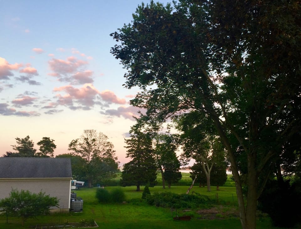 Backyard View