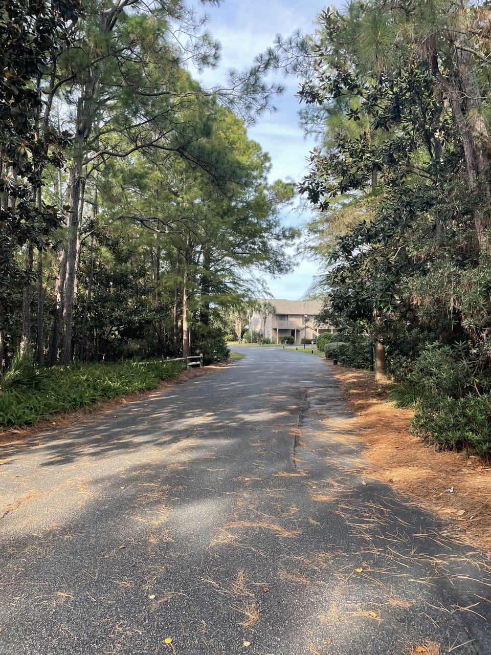 Road leading to our unit. Away for traffic noise. 