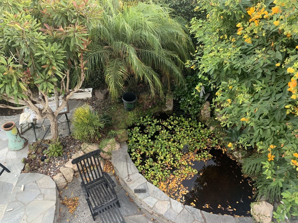 view from the balcony of the cottage