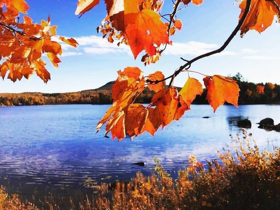 Fall Foliage View 1