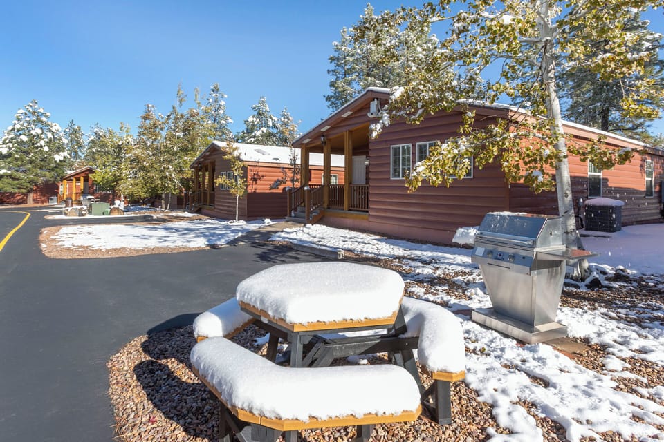 Gather outside for snowy picnics and easy grill nights.