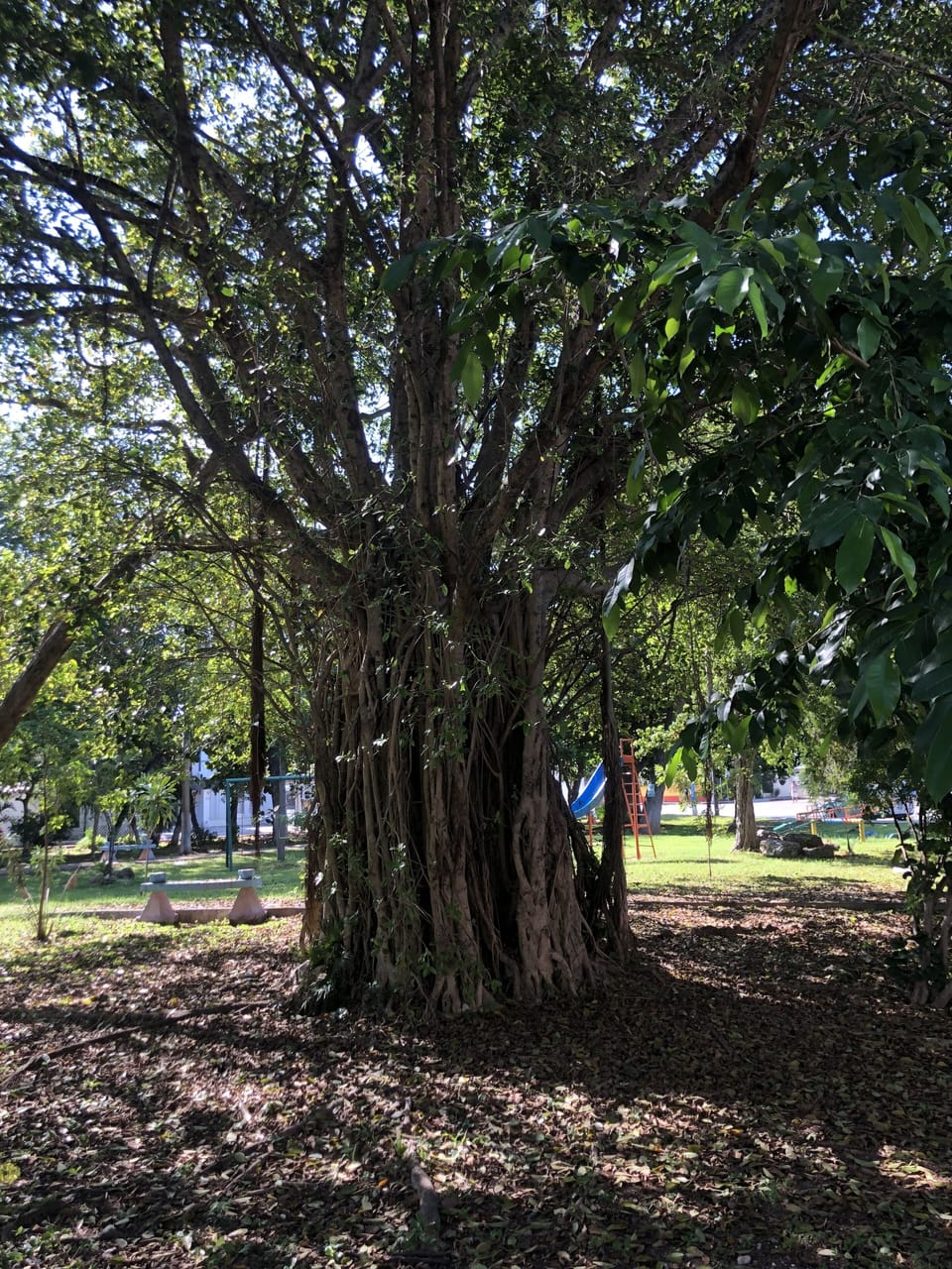 Property grounds