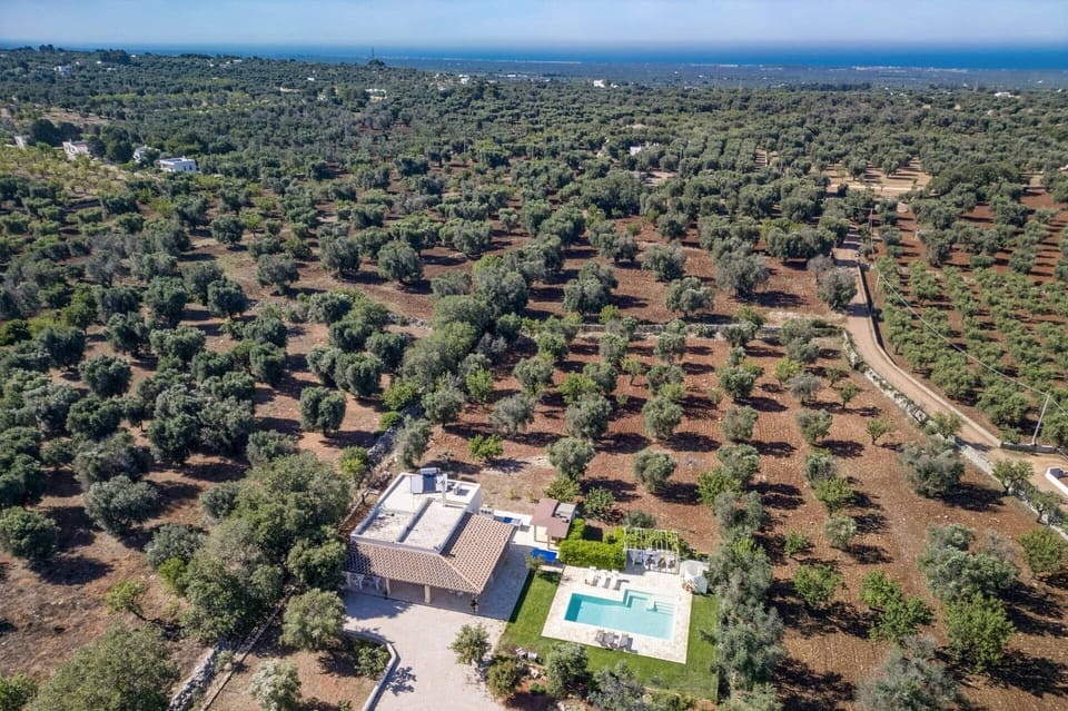 Villa Mincodda image