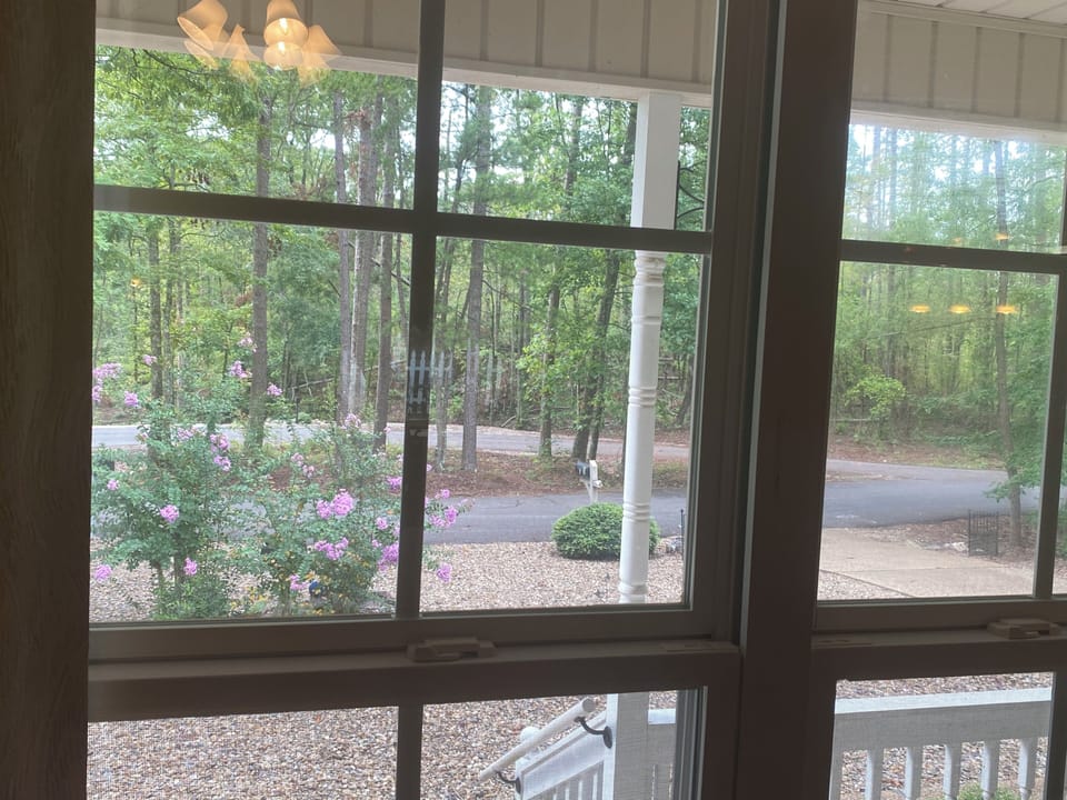 View from living room