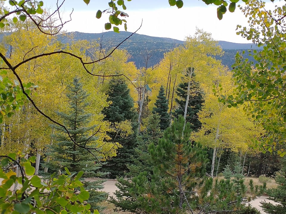 View from Front Deck