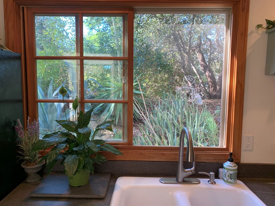 View from Kitchen
