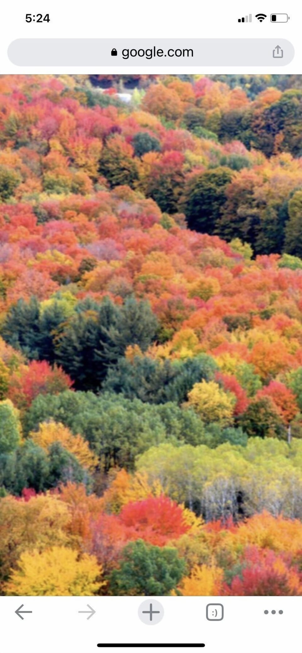 Fall colors are amazing 